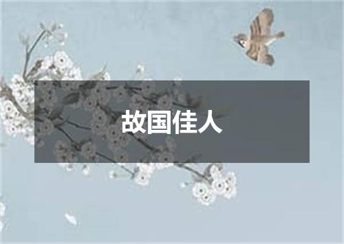 故国佳人