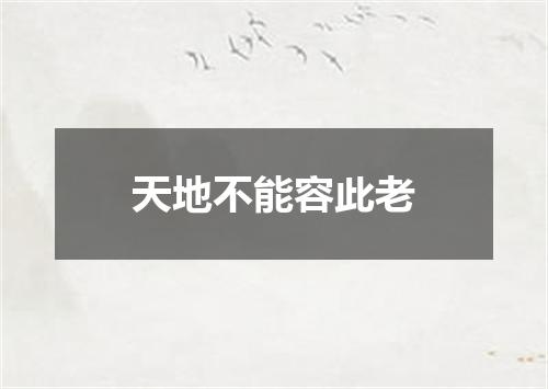天地不能容此老
