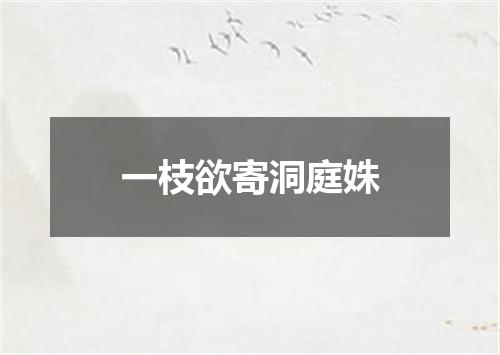 一枝欲寄洞庭姝