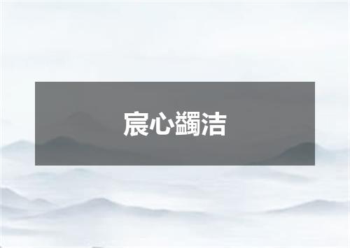 宸心蠲洁