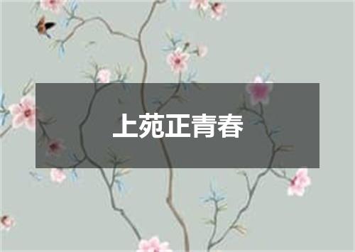 上苑正青春