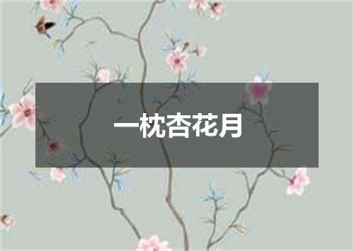 一枕杏花月