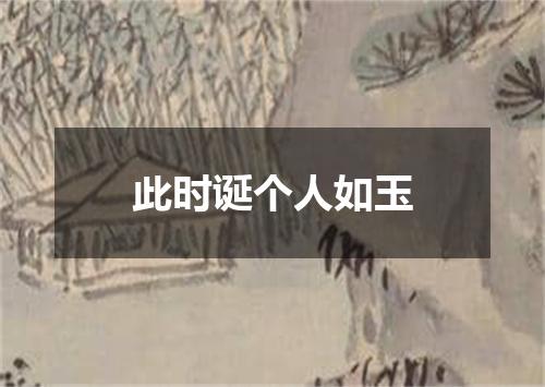 此时诞个人如玉