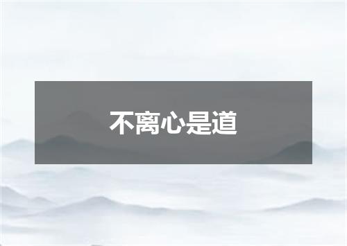 不离心是道