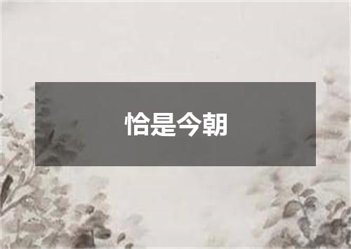 恰是今朝