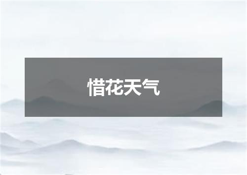 惜花天气