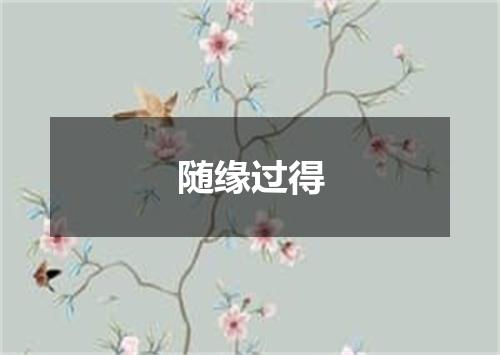 随缘过得