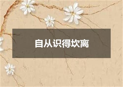 自从识得坎离