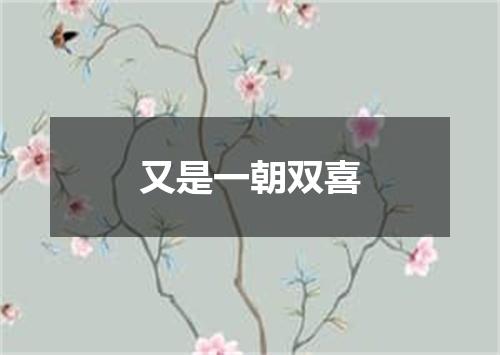 又是一朝双喜