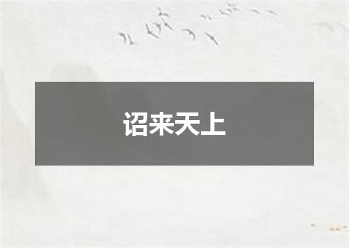 诏来天上