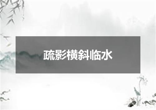 疏影横斜临水