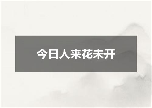 今日人来花未开