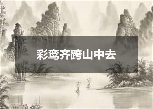 彩鸾齐跨山中去