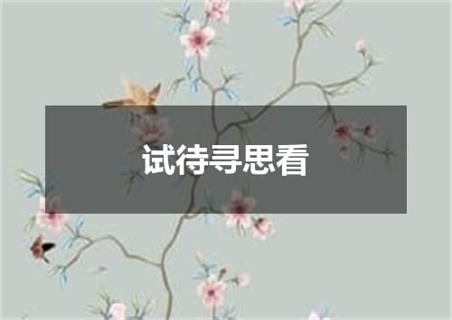 试待寻思看