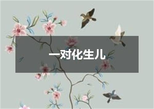 一对化生儿