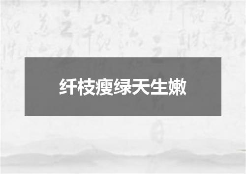 纤枝瘦绿天生嫩