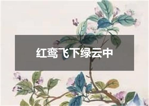 红鸾飞下绿云中