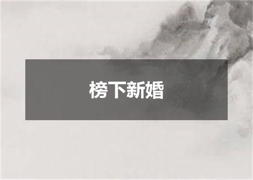 榜下新婚