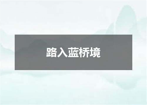 路入蓝桥境