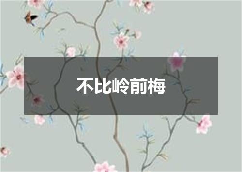 不比岭前梅