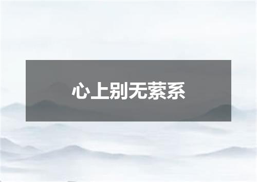 心上别无萦系