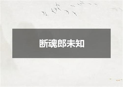 断魂郎未知