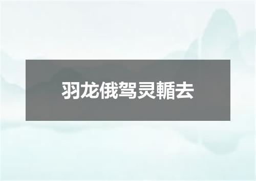 羽龙俄驾灵輴去