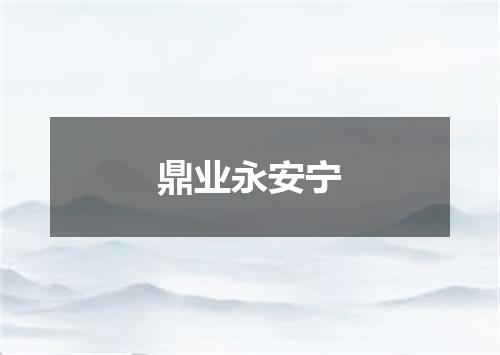 鼎业永安宁