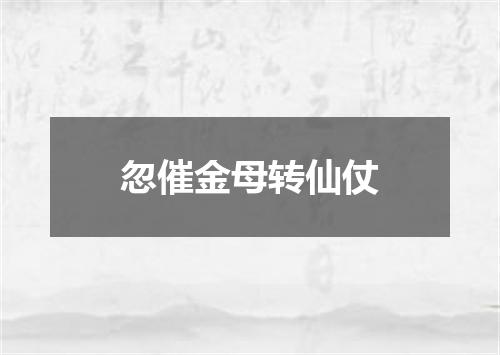 忽催金母转仙仗