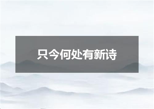只今何处有新诗