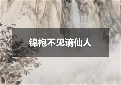 锦袍不见谪仙人