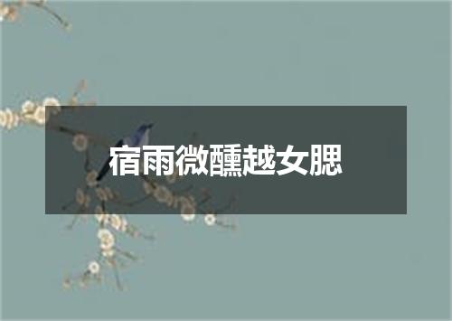 宿雨微醺越女腮