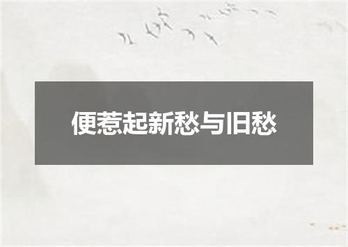 便惹起新愁与旧愁