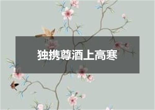 独携尊酒上高寒