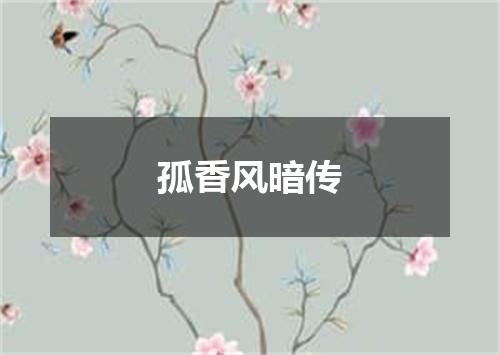 孤香风暗传