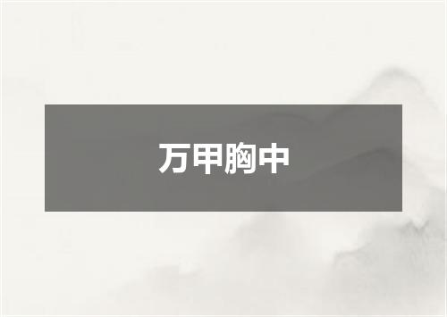 万甲胸中