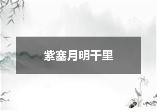 紫塞月明千里