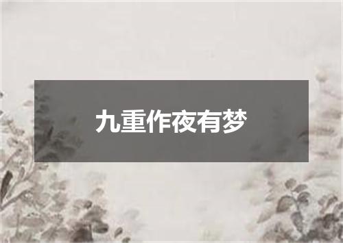 九重作夜有梦