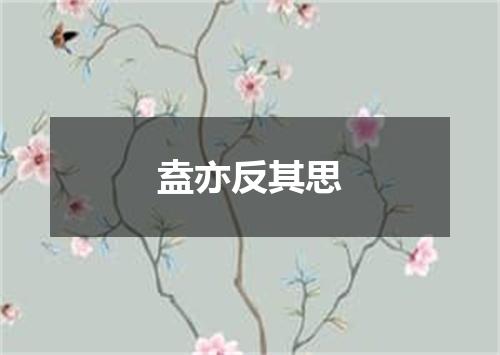 盍亦反其思