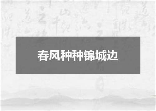 春风种种锦城边