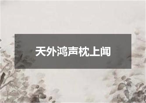 天外鸿声枕上闻