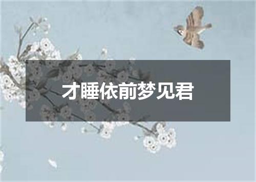 才睡依前梦见君