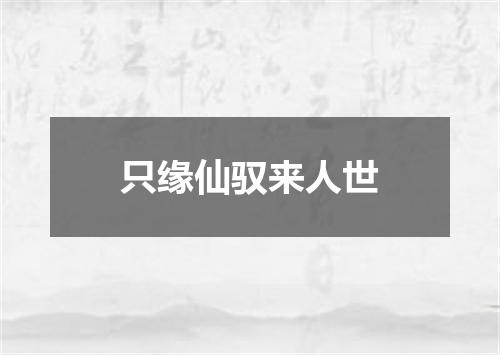 只缘仙驭来人世