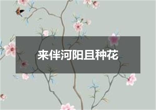 来伴河阳且种花