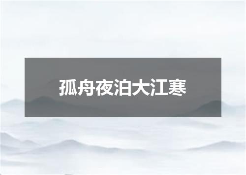 孤舟夜泊大江寒