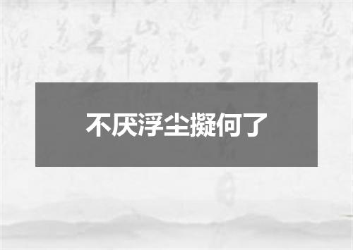 不厌浮尘擬何了