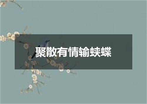 聚散有情输蛱蝶