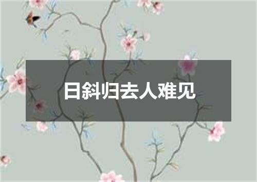 日斜归去人难见