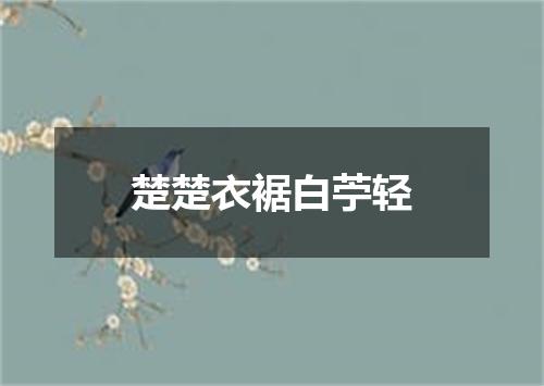 楚楚衣裾白苧轻