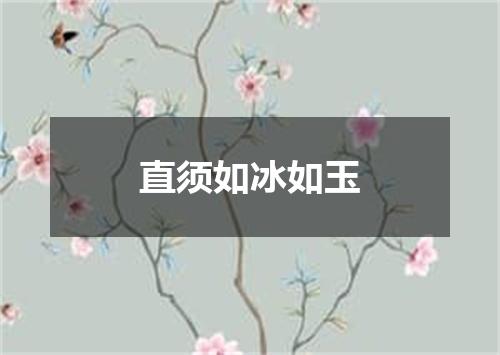 直须如冰如玉